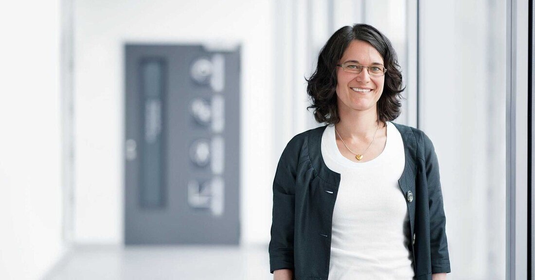 Festool startet mit dem amerikanischen Unternehmen 3M eine strategische Vertriebskooperation im Bereich Automotive Aftermarket.