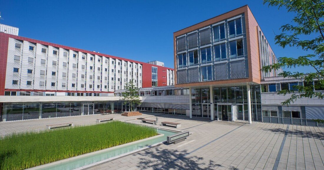 Noch profitieren die VW-Konzernmarken vom Abbau des Auftragsbestands, doch nun rutscht die Marktentwicklung ins Minus.