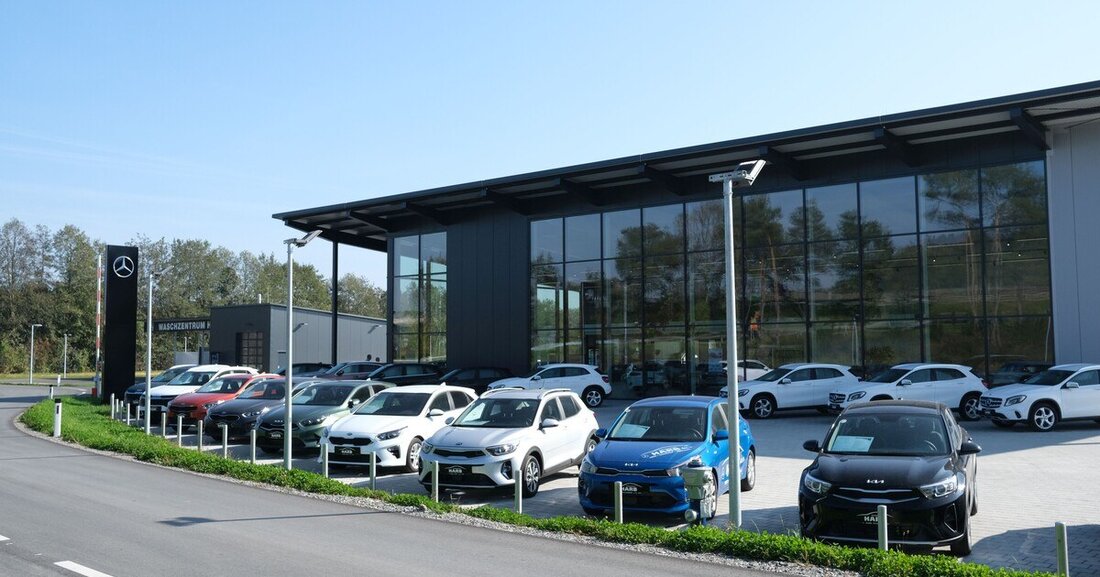 Da das Umweltbewusstsein steigt, spielen Nachhaltigkeit und Klimaschutz auch im Autohaus eine immer wichtigere Rolle.