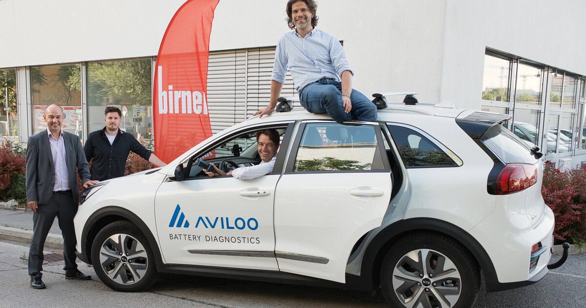 Aviloo Batteriediagnose bei Birner
