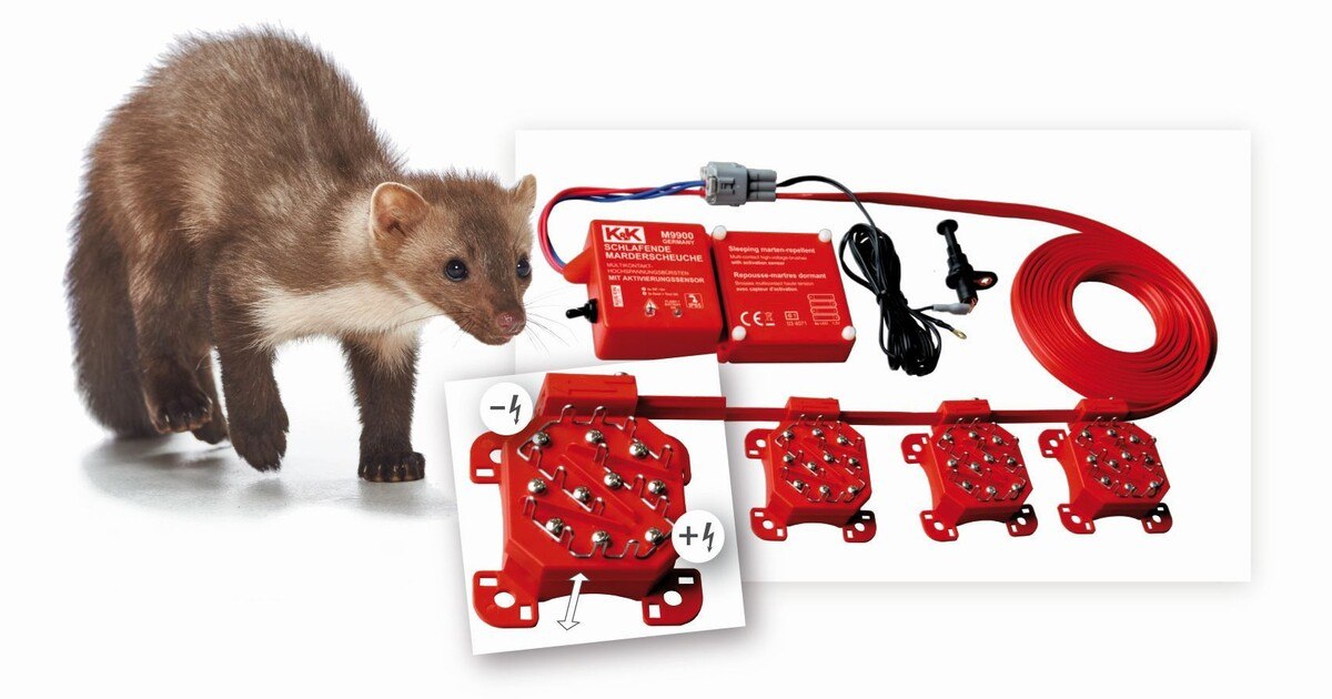 K&K: Die „aufgeweckte“ Marderabwehr